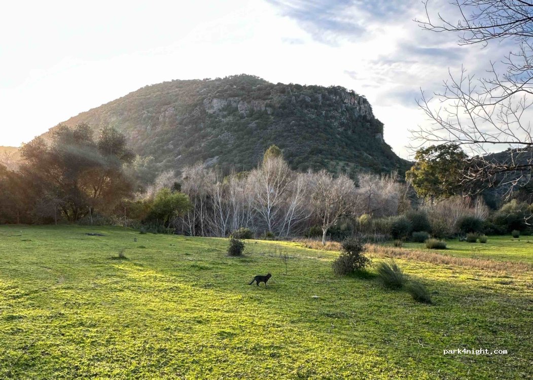 (41780) Coripe - 1 Diseminado la Vega — foto 4