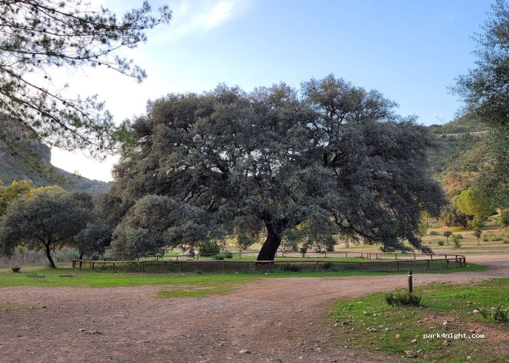 (41780) Coripe - 1 Diseminado la Vega — foto 5
