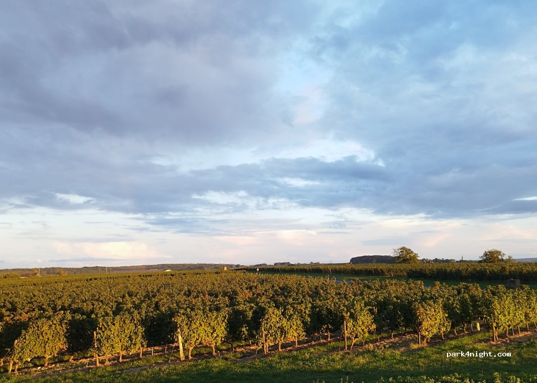 (49400) Saint-Cyr-en-Bourg - La Perrière — foto 3