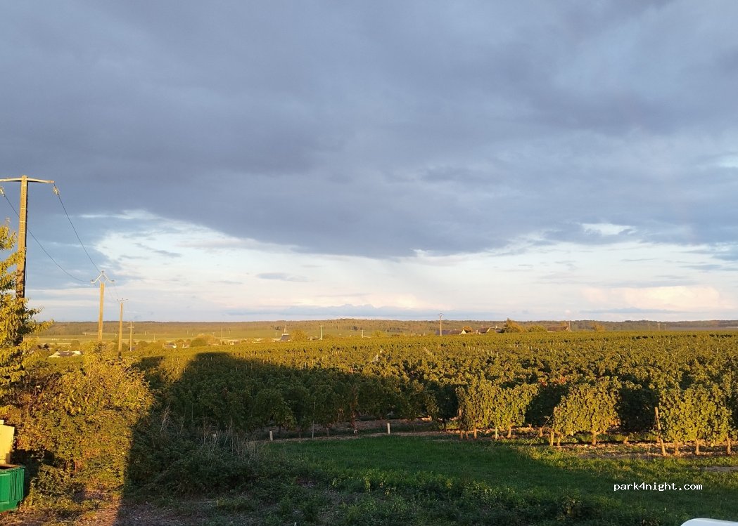 (49400) Saint-Cyr-en-Bourg - La Perrière — foto 4