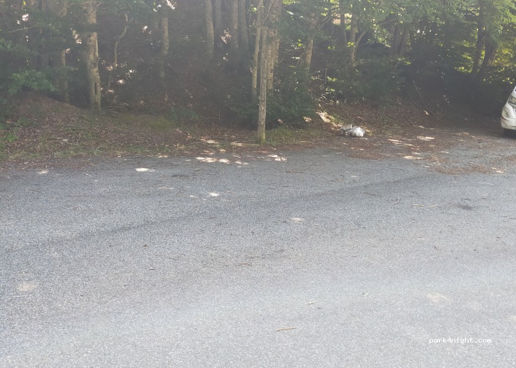 (64490) Urdos - Col du Somport — foto 3