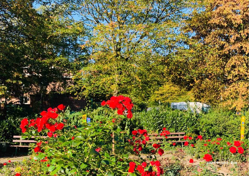 (59348) Lüdinghausen - 4 Am Rosengarten — foto 2