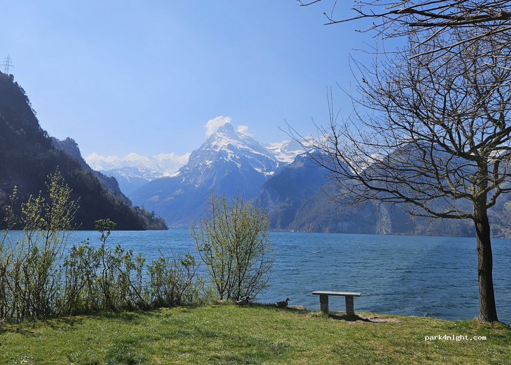 Camping Bucheli — foto 5