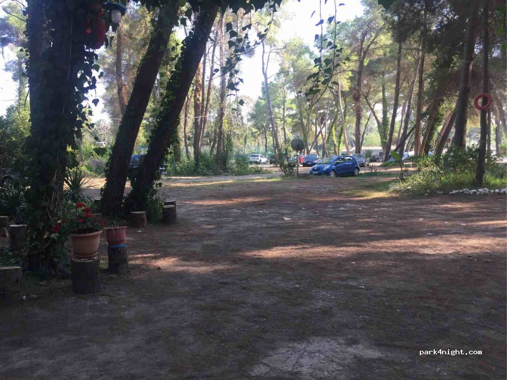 () Divjake - Unnamed Road — foto