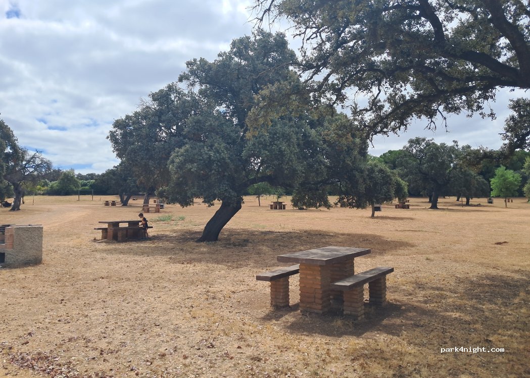 (11400) Jerez de la Frontera - Camino de las Monjas — foto 5
