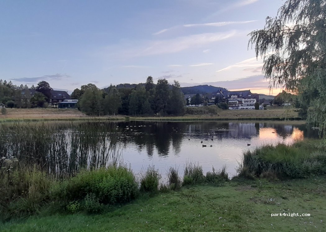 (79856) Hinterzarten - 2/1 Sportplatzweg — foto 2