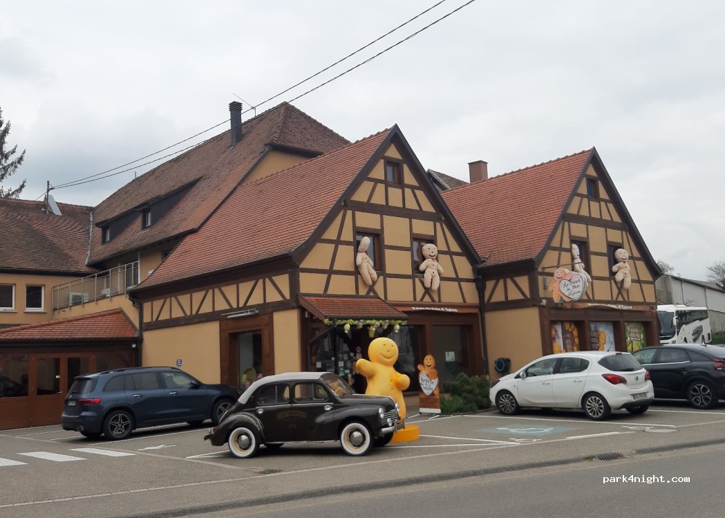 (67140) Gertwiller - 156 Route de Strasbourg — foto 2