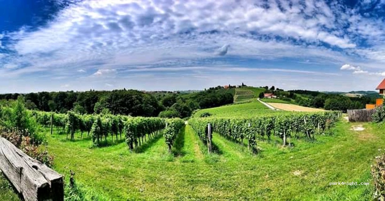 Tourist Farm Püklavec — foto 4
