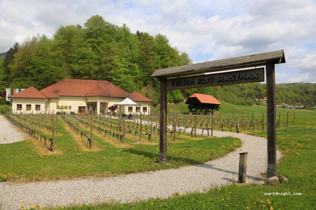 Odkup in prodaja vina, Zdravko Mastnak s.p. — foto