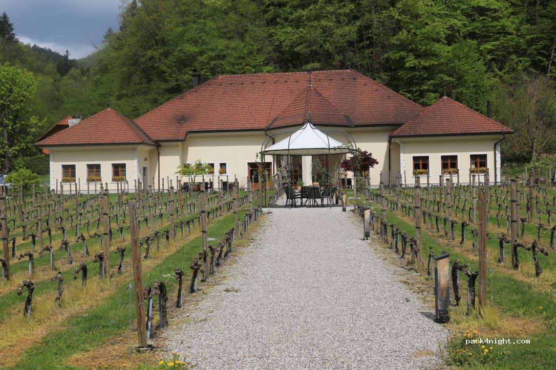 Odkup in prodaja vina, Zdravko Mastnak s.p. — foto 2