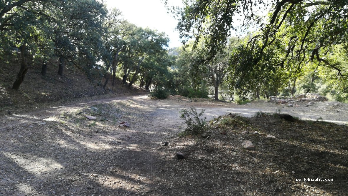 (12499) Chóvar - CV-219 — foto 2