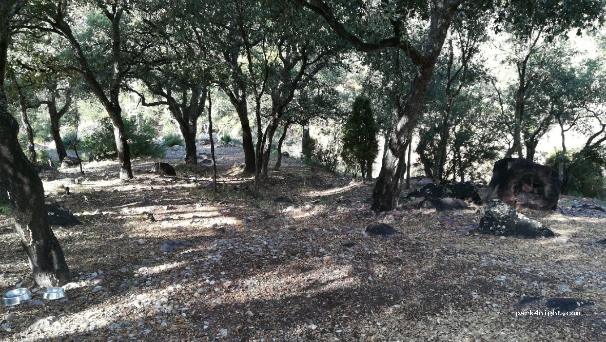 (12499) Chóvar - CV-219 — foto 3