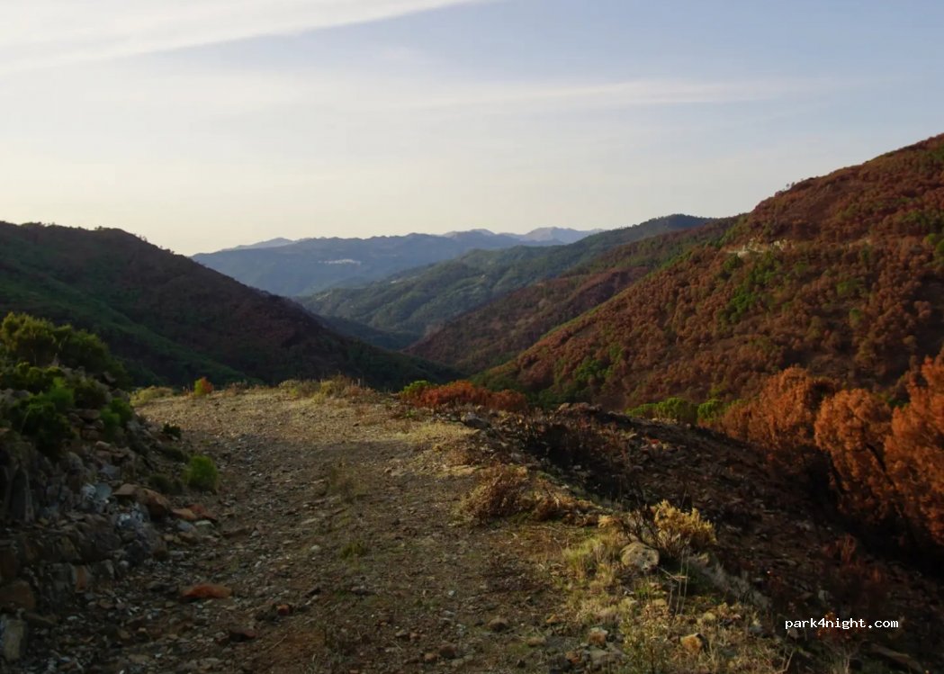 (29492) Jubrique - Unnamed Road — foto 2