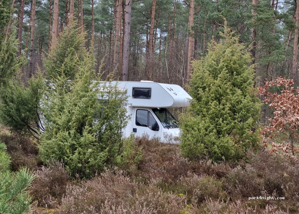 Wohnmobil Stellplatz Schwindebecker Heide — foto 3