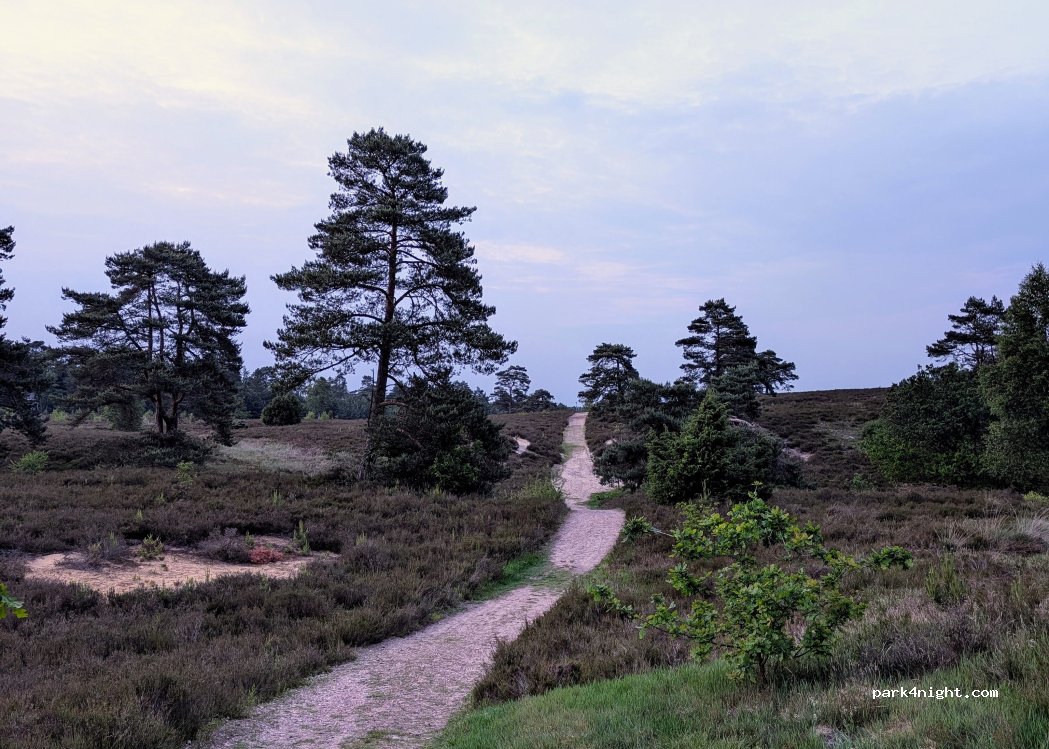Wohnmobil Stellplatz Schwindebecker Heide — foto 5