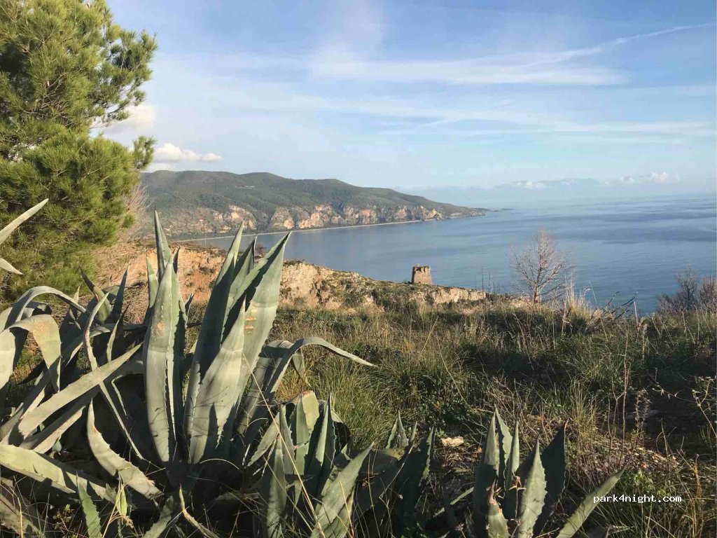 (84051) Palinuro - Via Faro — foto