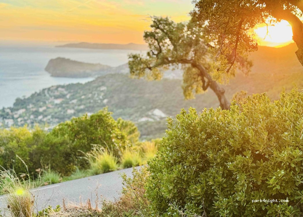 (83820) Rayol-Canadel-sur-Mer - Col du Canadel — foto 5