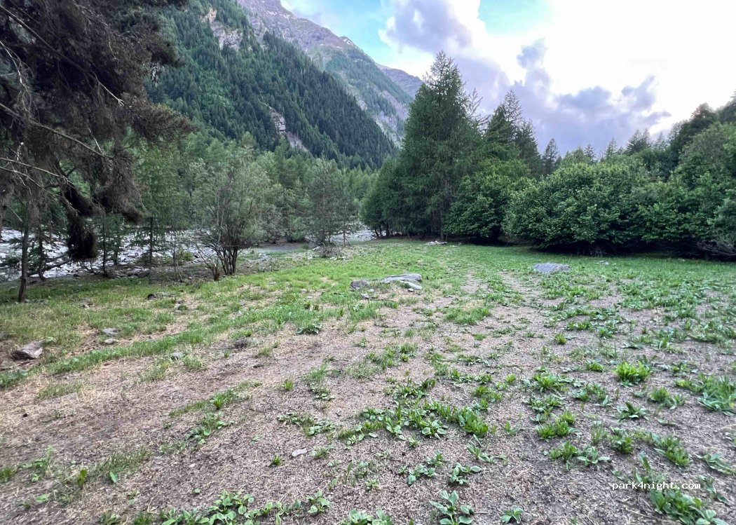 (05120) L'Argentière-la-Bessée - Vallon du Fournel,Salce Basse — foto 4