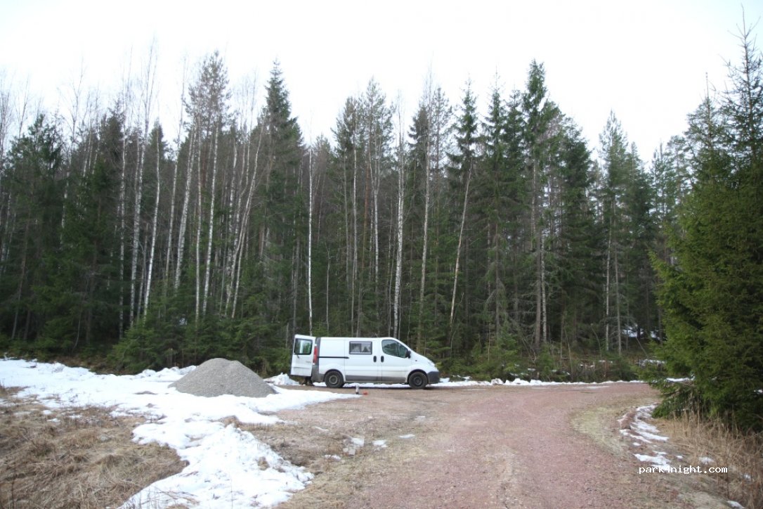 (793 97) Lundbjörken - — foto