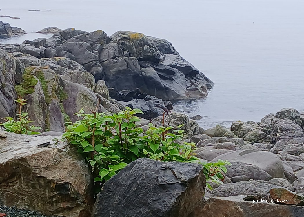 Sandhåland Camping — foto 5