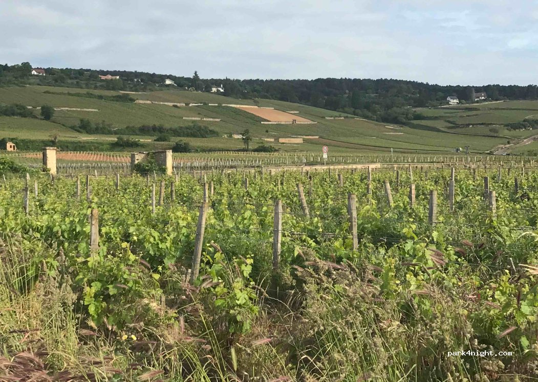 (21200) Beaune - 4 Chemin des Mariages — foto 2