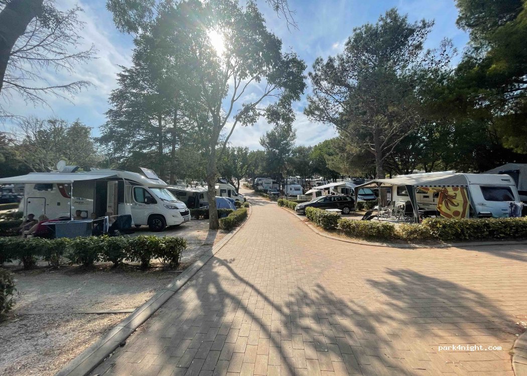 Camping Veštar — foto 2