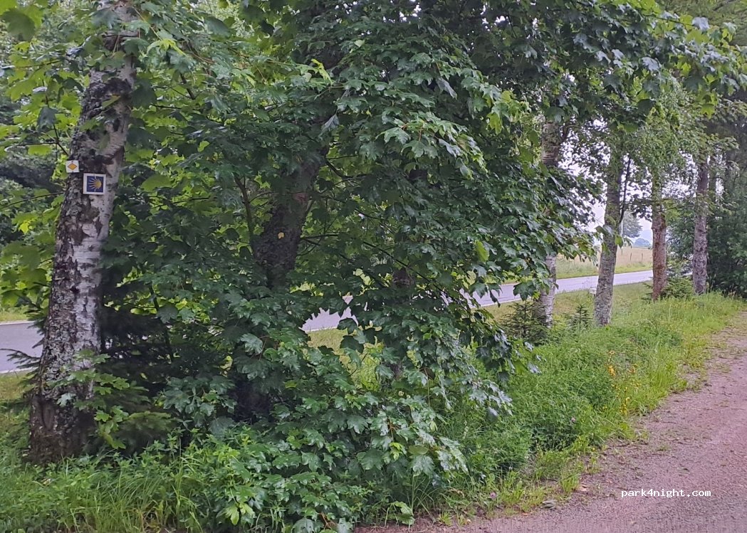 (78166) Donaueschingen - Mistelbrunner Straße — foto 3