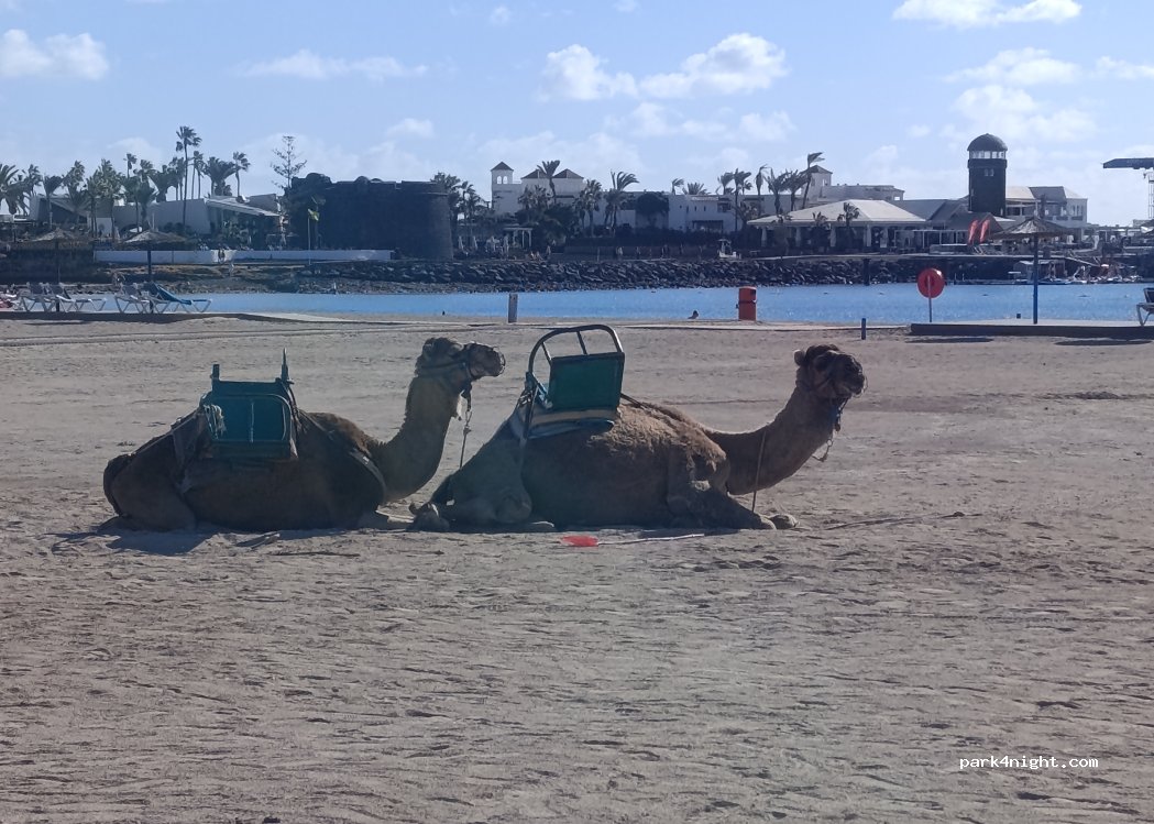 (35600) Puerto del Rosario - Paraje Carretera Playa Blanca — foto 5