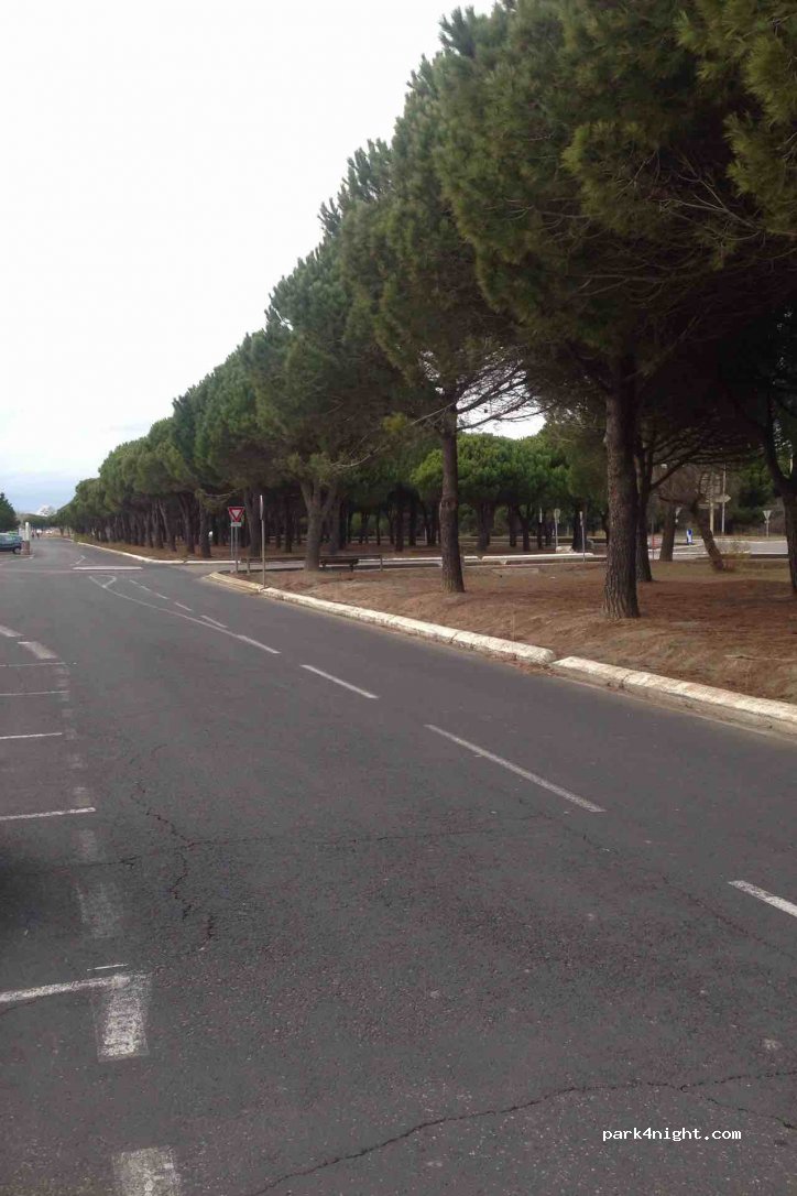 (30240) Le Grau-du-Roi - 953 Route de Carnon — foto 2