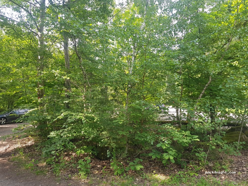 (67098) Bad Dürkheim - L518, Lindemannsruhe — foto 4