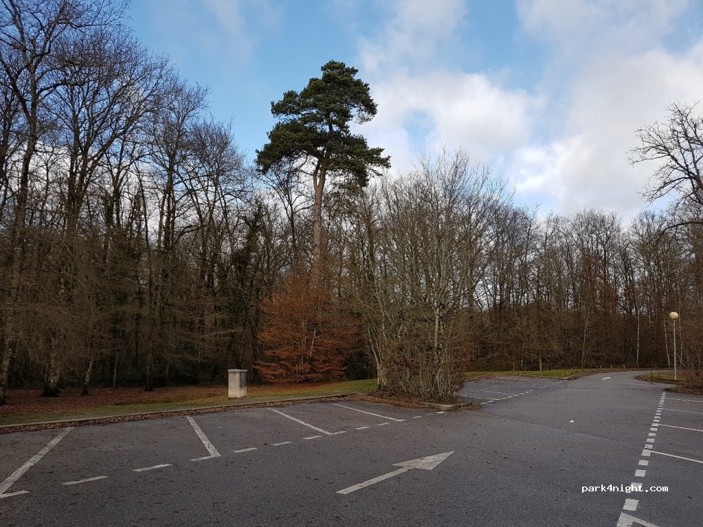 (87280) Limoges - Lauriere Brune — foto 2