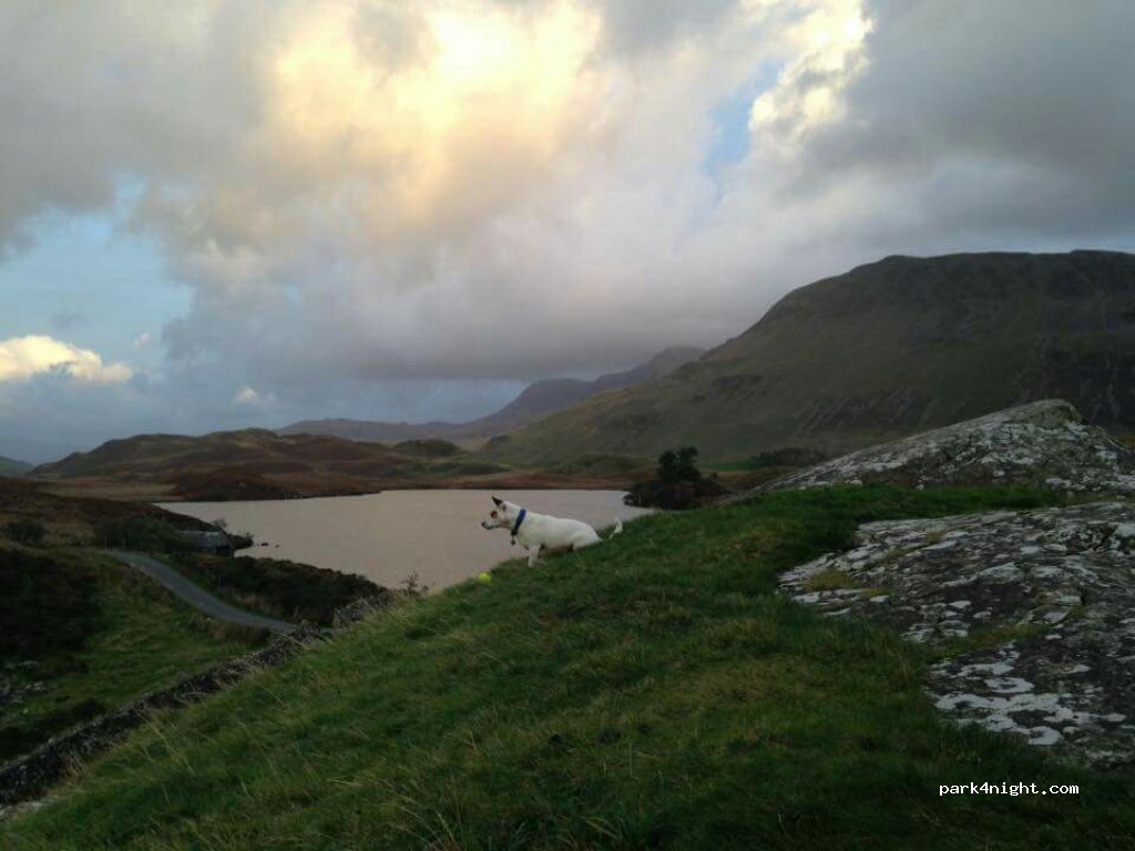 (LL39 1LQ) Arthog - Unnamed Road — foto