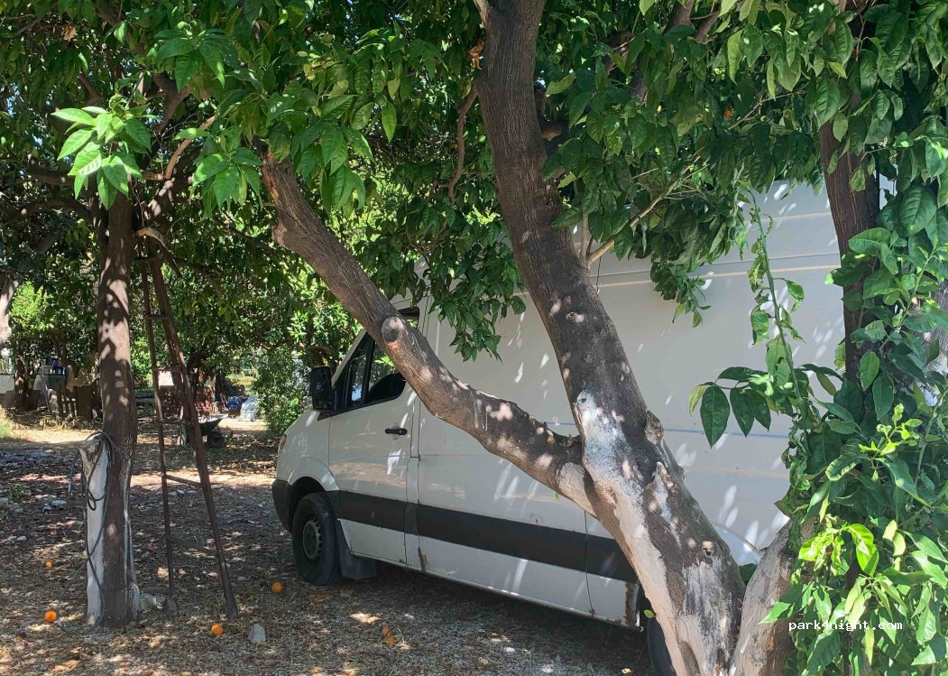 (07570) Demre/Antalya - Karabucak Caddesi — foto 4