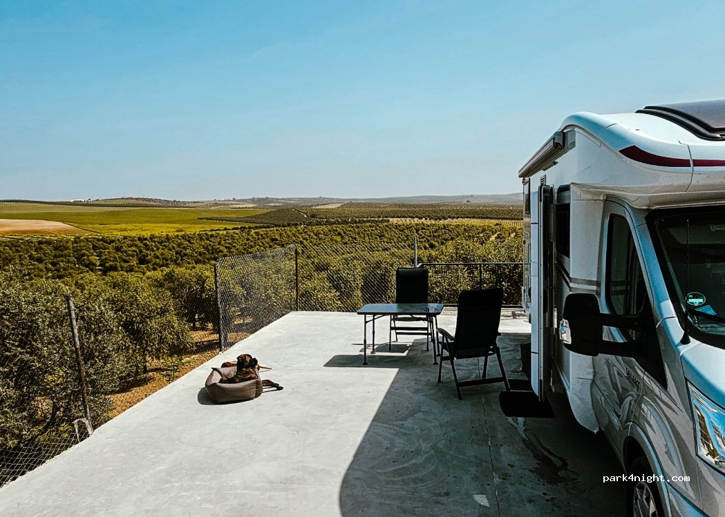 Camping La Campina — foto 3