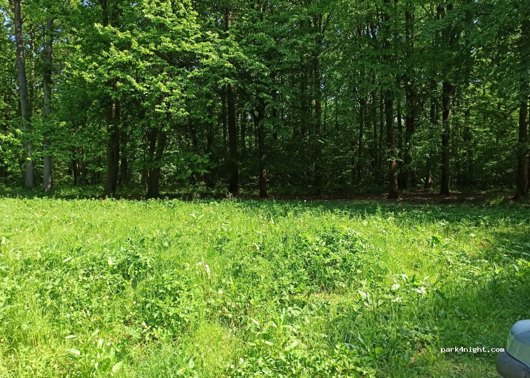 (95270) Presles - Unnamed Road — foto