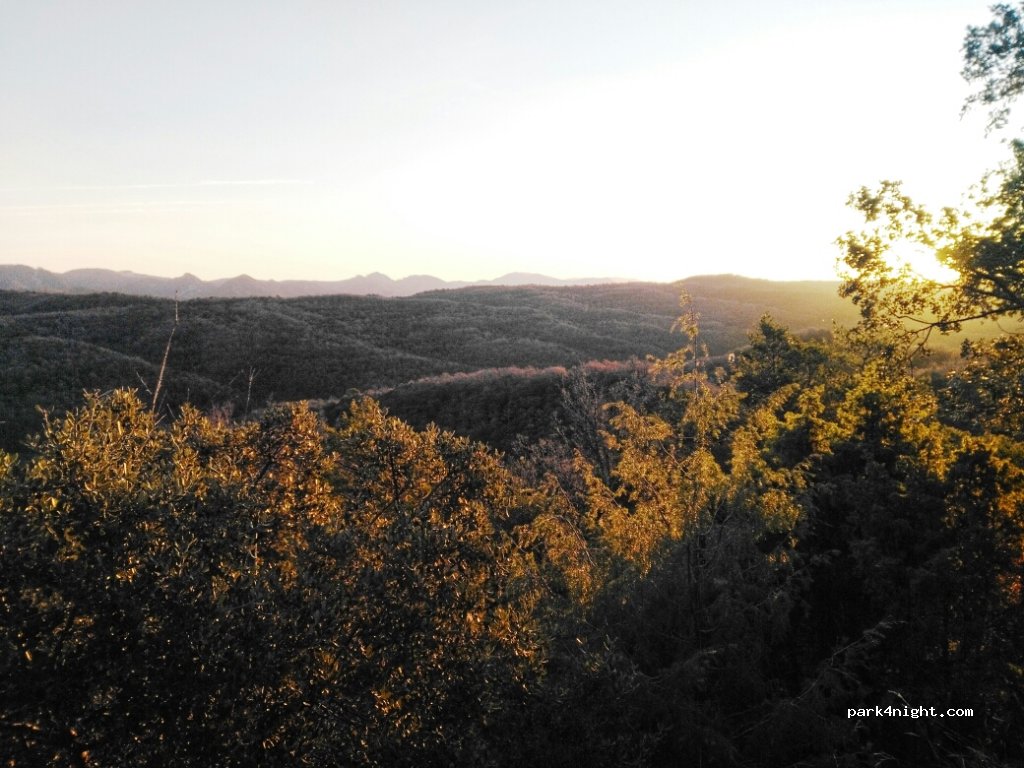 (50619) Biel - Unnamed Road — foto 2
