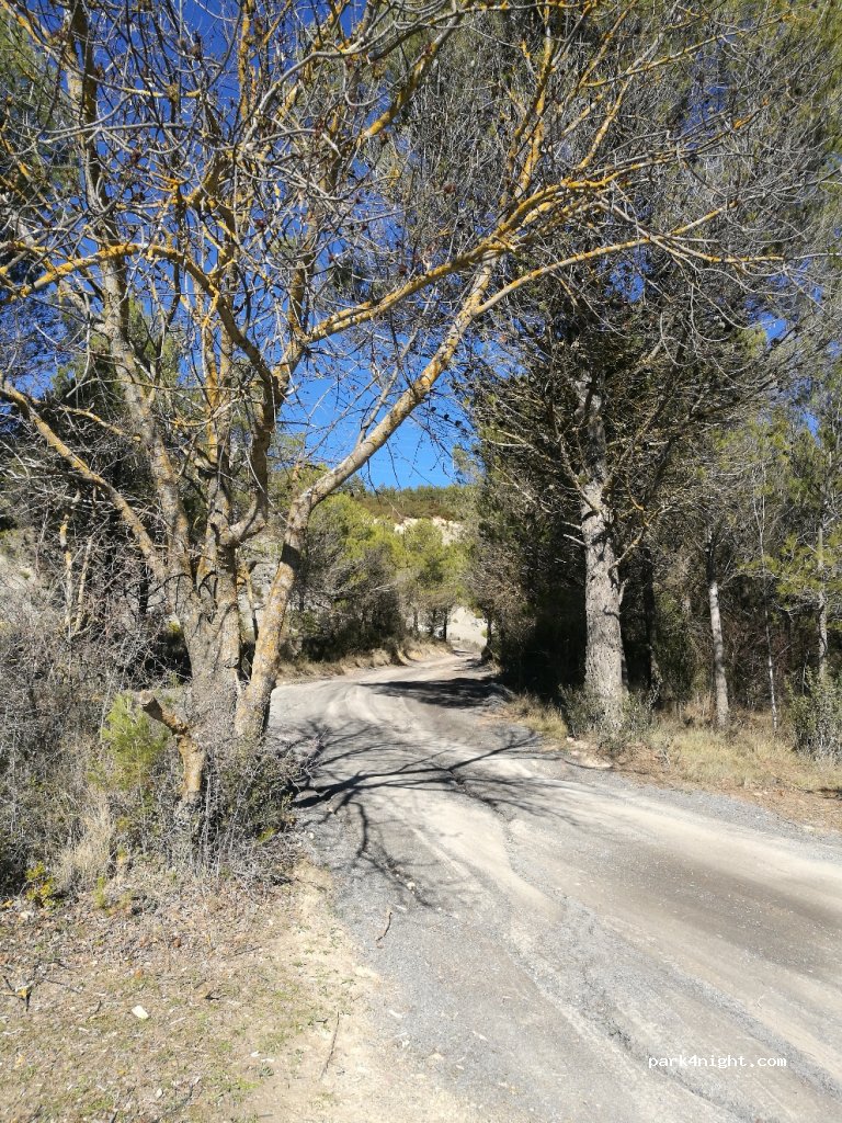 (50682) Sigüés - Antigua Carretera a Jaca — foto