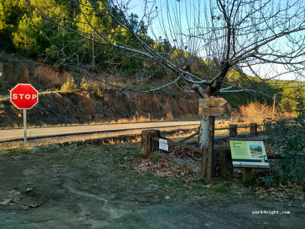 (10629) Caminomorisco - 14 EX-204 — foto