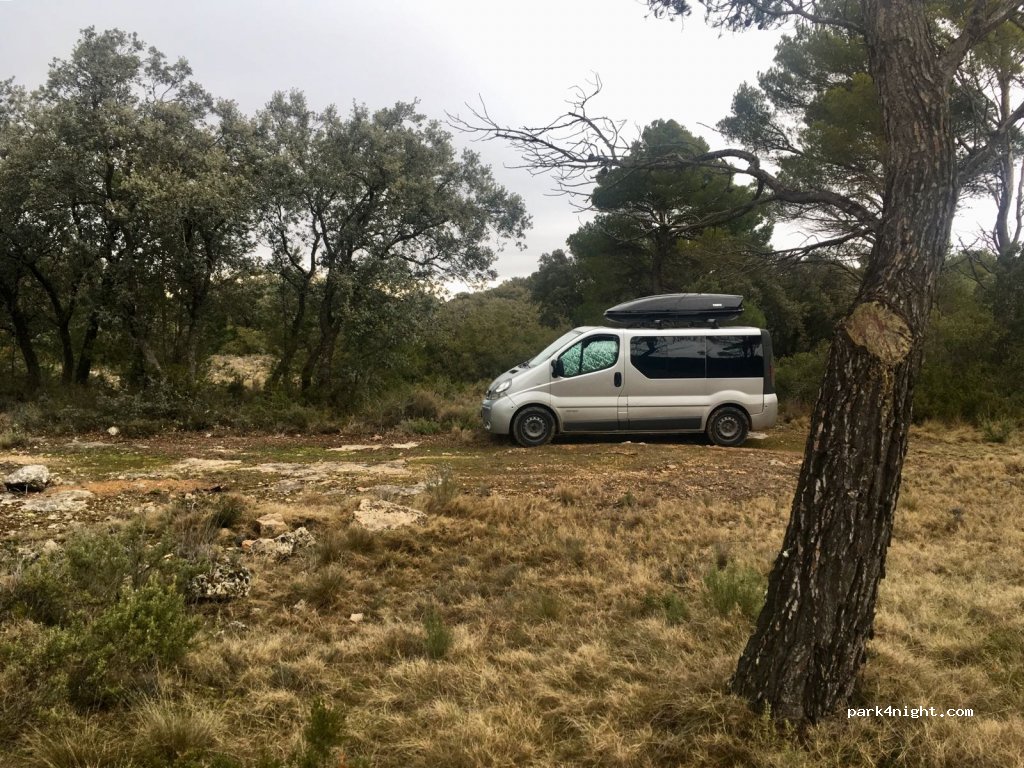(50540) Borja - Unnamed Road — foto