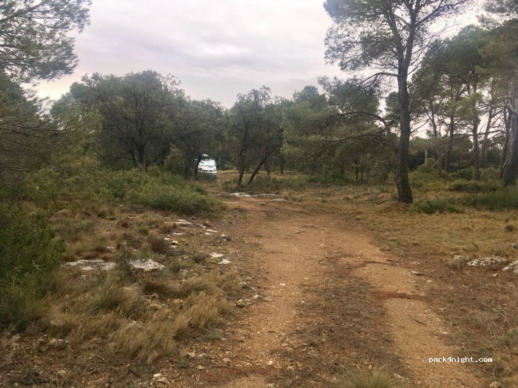 (50540) Borja - Unnamed Road — foto 3