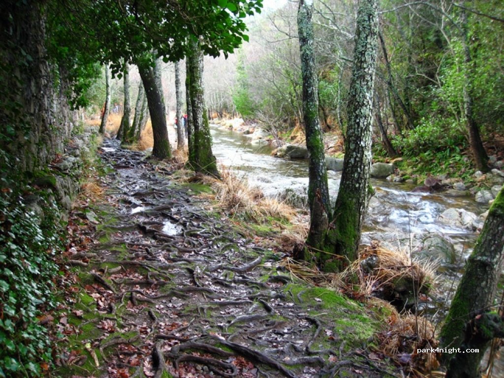 (37624) La Alberca - 9 SA-201 — foto 3