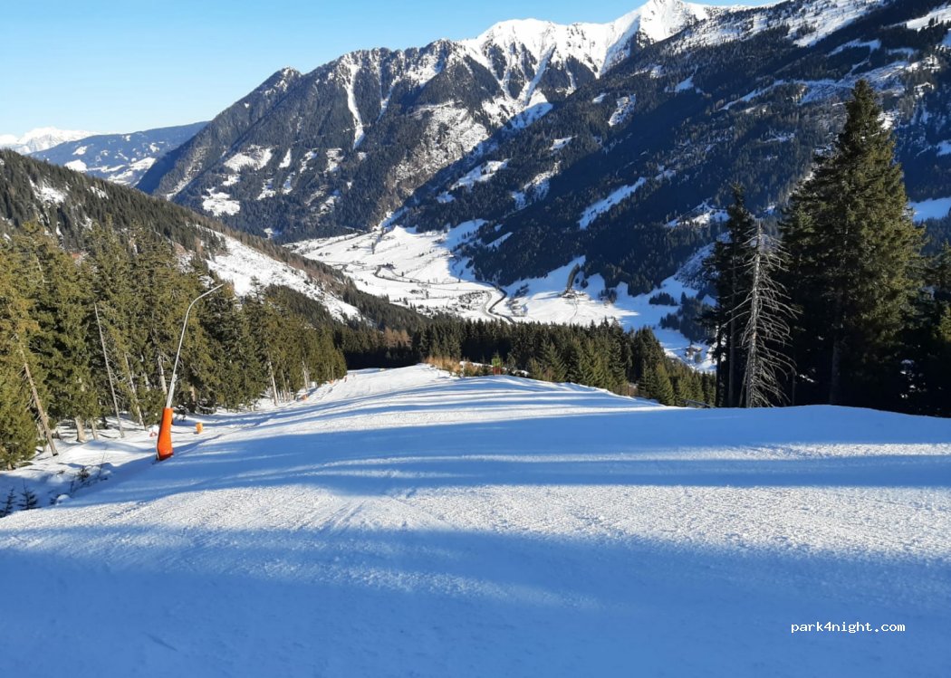 (8953) Donnersbachwald - 236 Donnersbachwald — foto 2