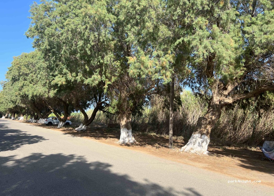 (730 06) Tavronitis - Unnamed Road — foto