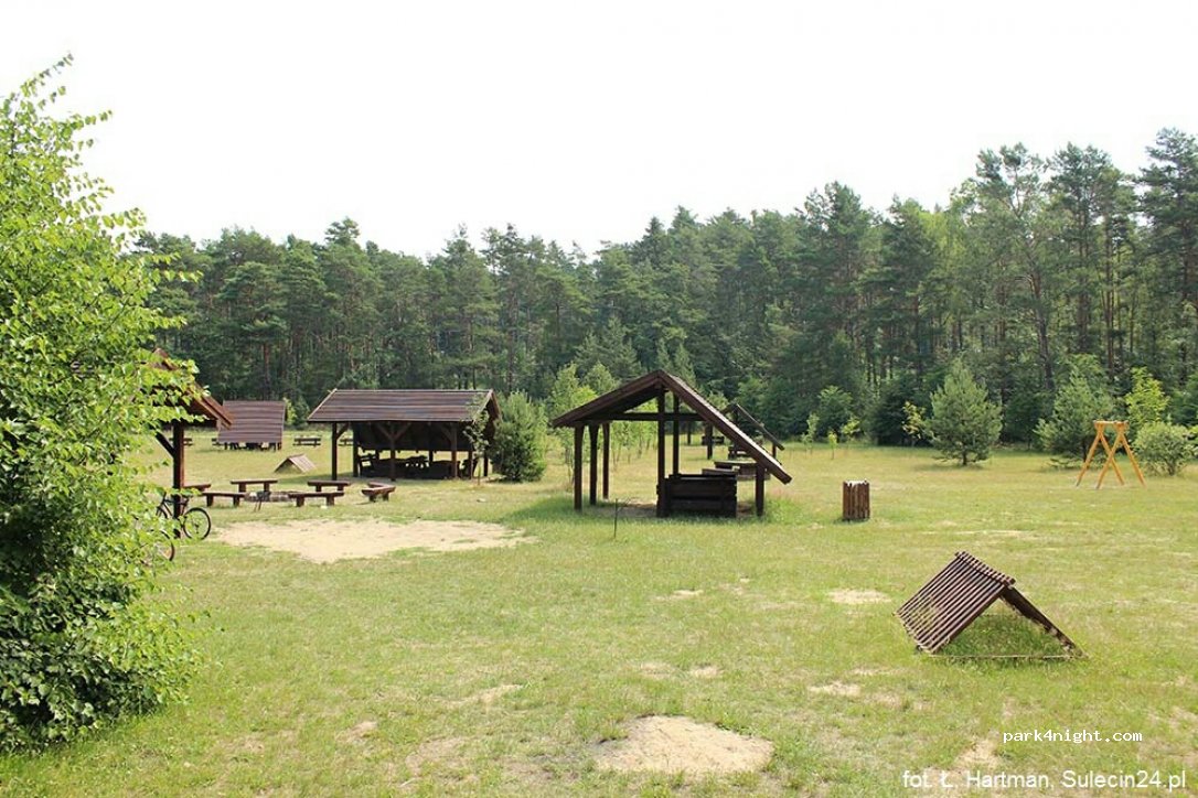 Uroczysko Żubrów — foto