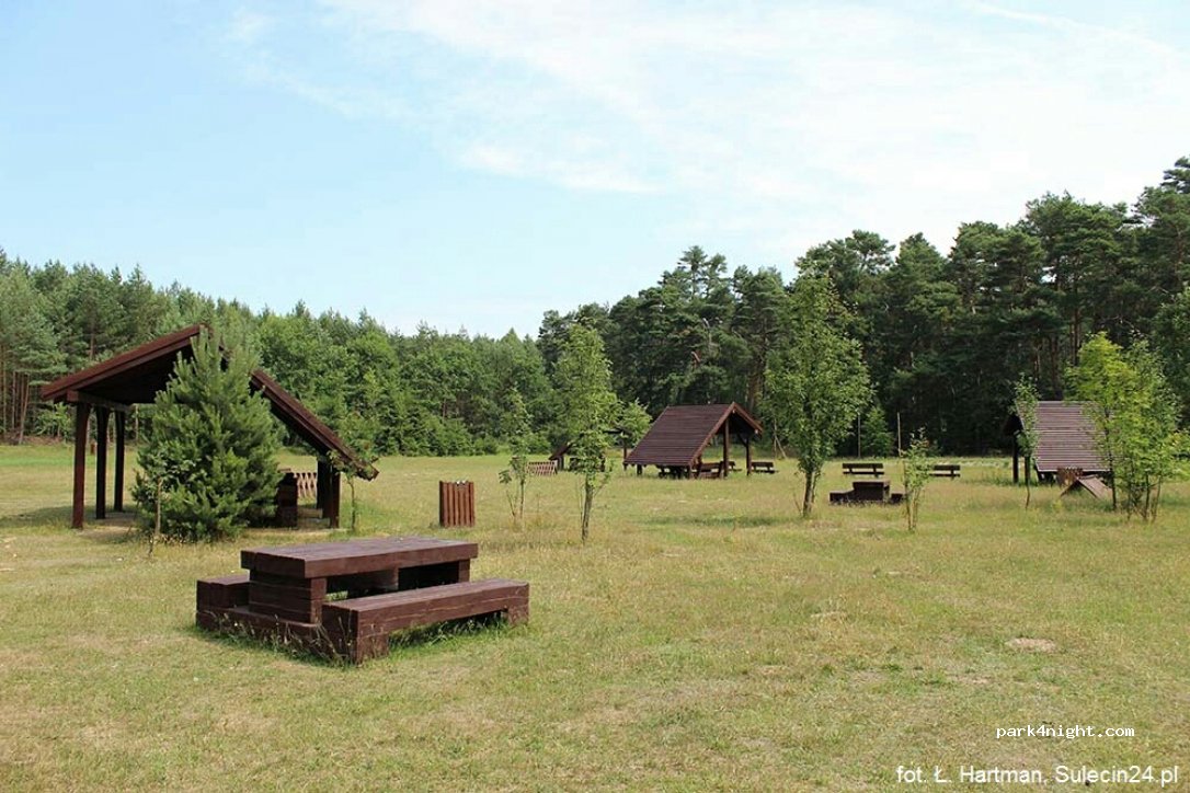 Uroczysko Żubrów — foto 2