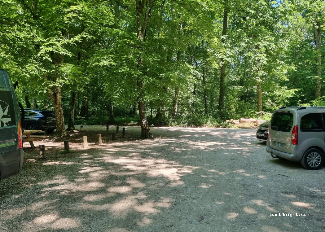 (01960) Péronnas - Route Forestière de la Chèvrerie — foto 3