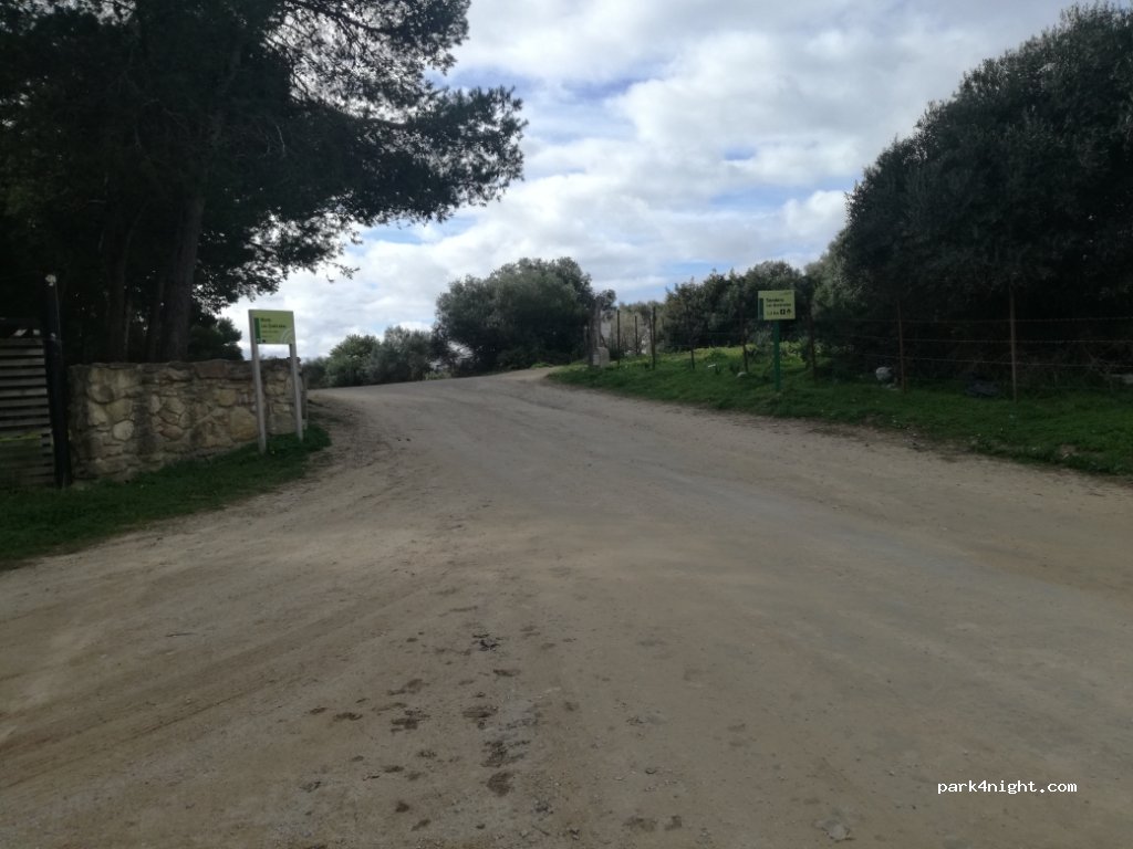 (11150) Vejer de la Frontera - Camino de la Oliva — foto