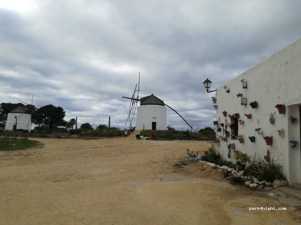 (11150) Vejer de la Frontera - Camino de la Oliva — foto 3