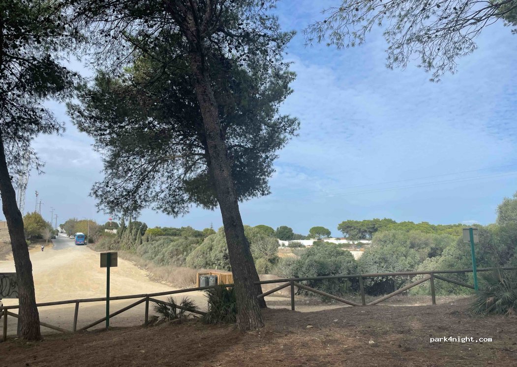 (11150) Vejer de la Frontera - Camino de la Oliva — foto 4