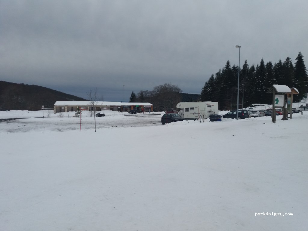 (12470) Prades-d'Aubrac - Bois d'Aubrac — foto